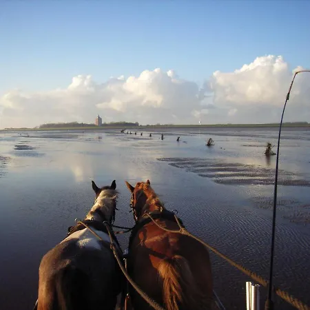 Residenz Vogelsand 3 Apartman *