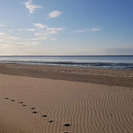 Residenz Vogelsand 3