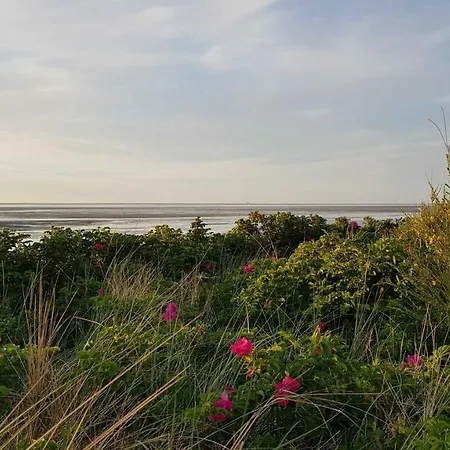 Residenz Vogelsand 3