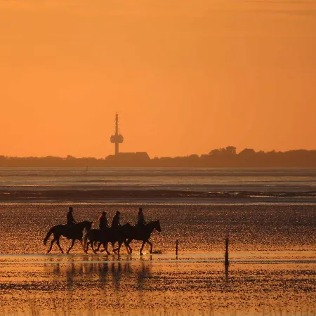 Residenz Vogelsand 3 * 쿡스하펜